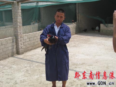 ���������F�����߲�ɽ�u�ڡ��Ͱ��ᡱ�w��