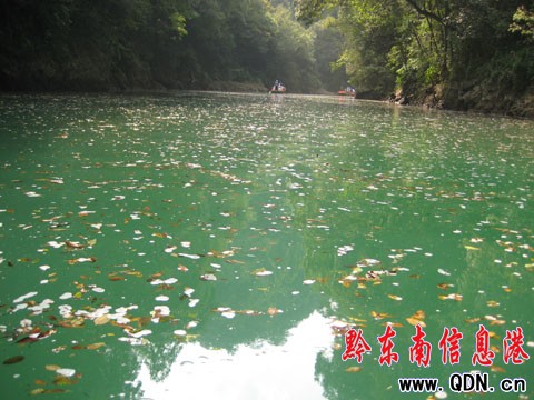 ���^����ٻӰ�h ƽ�����g�F��Ӱ���D��