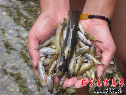 ɼľ�������~Ư �l׌�������ò������ף�(�D)