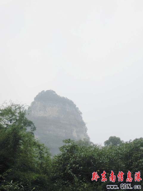 ɼľ���ɾ� ���ƣ�v���`�����҈@���D��