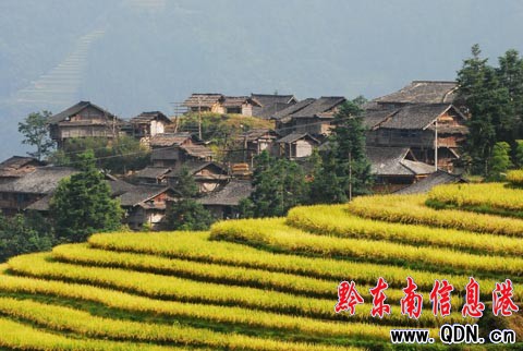 ����ɽ�^�����ļӰ�������ɫ���M�D��