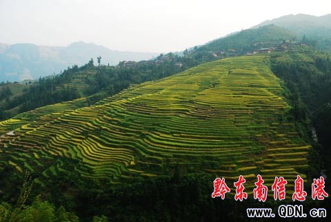 ����ɽ�^�����ļӰ�������ɫ���M�D��