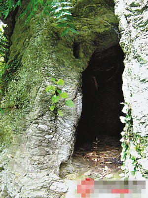 �����l(f��)�F(xi��n)�z�����˶�Ѩ���E��(n��i)���Ԛ��b��(�D)