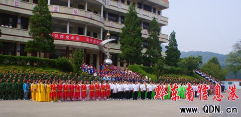 ӭ���c �\���g���t���������D��