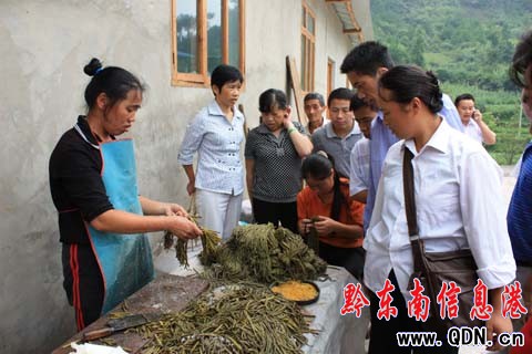 �Sƽ�hҰ����ɽҰ���h(yu��n)�N���⣨�D��