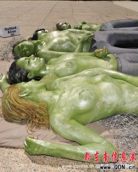 ���ﱣ�o�߰�����������~���h�����~�(�M�D)