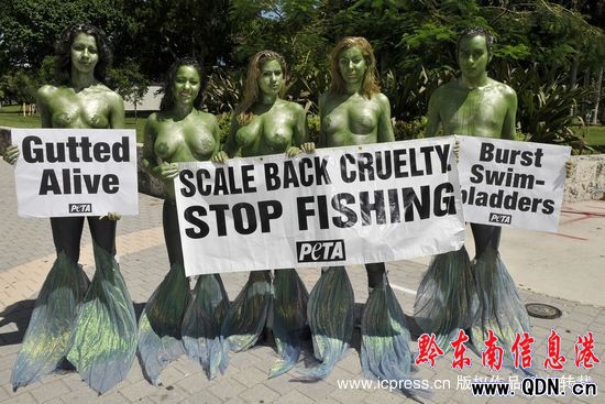 ���ﱣ�o�߰�����������~���h�����~�(�M�D)