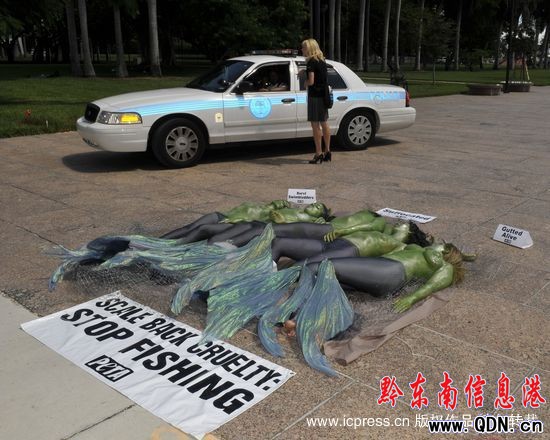 ���ﱣ�o�߰�����������~���h�����~�(�M�D)