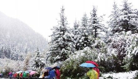 ��կ�����ｵ�µ�һ��ѩ