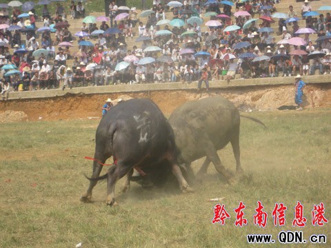 �V����ţ�����e�Z���� ����+�����Z��(�D)