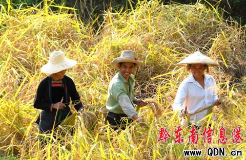 �Ľ�������ͬ��ժ��æ���D��