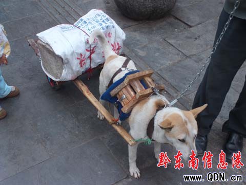 ��������Ȥ�� �P�ﹷ������܇���D��