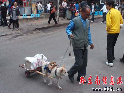 ��������Ȥ�� �P�ﹷ������܇���D��