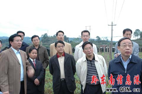 ʡ�L�֘�ɭ�������{�У��M�D��