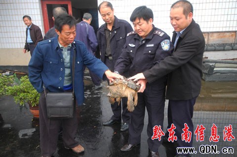 300�q�����{�~���F(xi��n)������ ���_(d��)8.1����(�M�D)