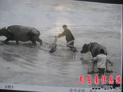 �P�鄦�_���Ƴ��zӰչ 60���x��������(�D)