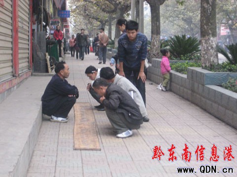 �P����^���ۡ�����ʢ���� ����y�棨�D��