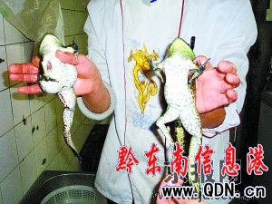 �N���l(f��)�F(xi��n)8�l��ţ�܌��ҽ��h��Ҫʳ��(�D)