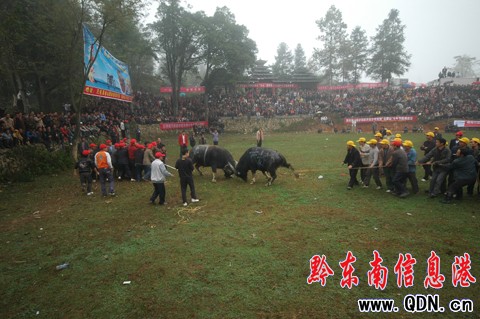 �����h��ţ�����ԑc�S�գ��M�D��