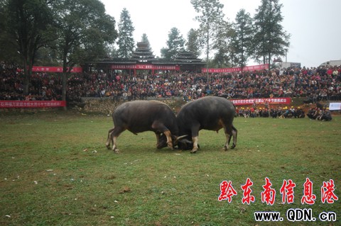 �����h��ţ�����ԑc�S�գ��M�D��