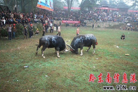 �����h��ţ�����ԑc�S�գ��M�D��