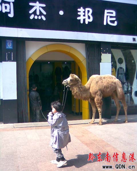 ��������� ������Σ����M�D��