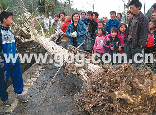 ���ꡰ��կ�䡱���I�\����ӛ�����D��