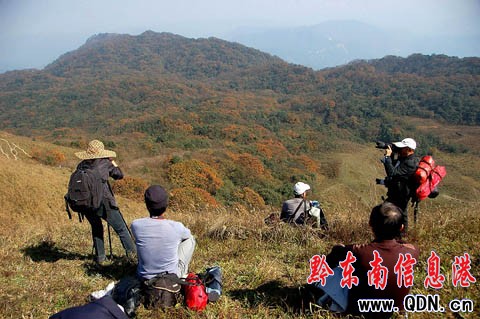 �_���׌�ͽ����Խɭ���Ά��� ��輤���w�P(y��ng)(�D)