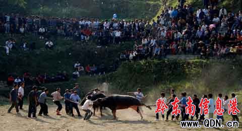 ��կ�f(w��n)�˹��c���깝(ji��)���M�D��