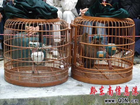 ��ɽ�e�kԭ���B(t��i)���B��������ِ���D��