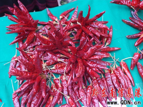 ���]������ �t�t����ӳ�����ռt������(�M�D)