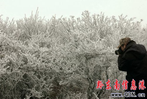 �zӰ��(��i)����ץ���׹�ɽ�Fڡ���^���M�D��