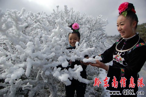 �׹�ɽ��ػ����������`�ţ��M�D��