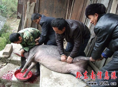 ���l��mӭ�����깝 ������30���F�F�A�A���D��