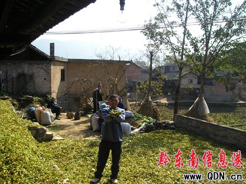 �Sƽ�h���M(j��n)�S�d�ӷNֲϲ�@�S�գ��D��