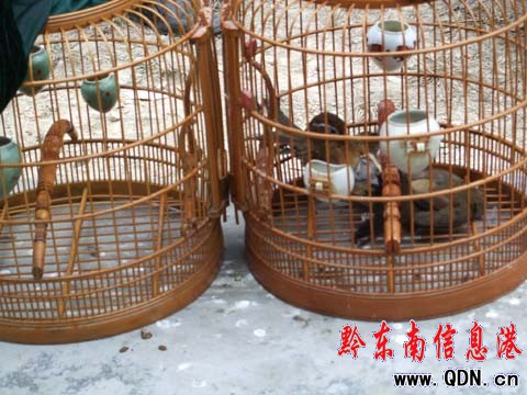 СС��ü��r21�f һ���Bʳ�r��һ�D���(�D)