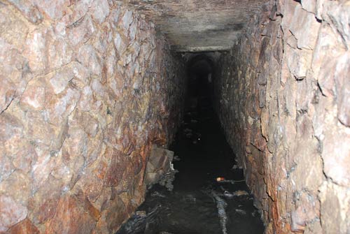 �ɷ���32�׵ص�͵��20���fԪ�錚(�M�D)