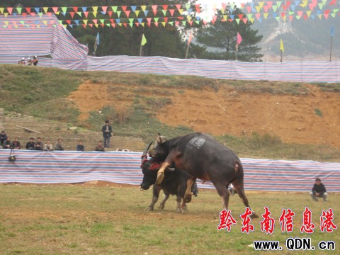 ���ա��~�N����Ȼ�x�� ���������L���Z�׹�(�D)