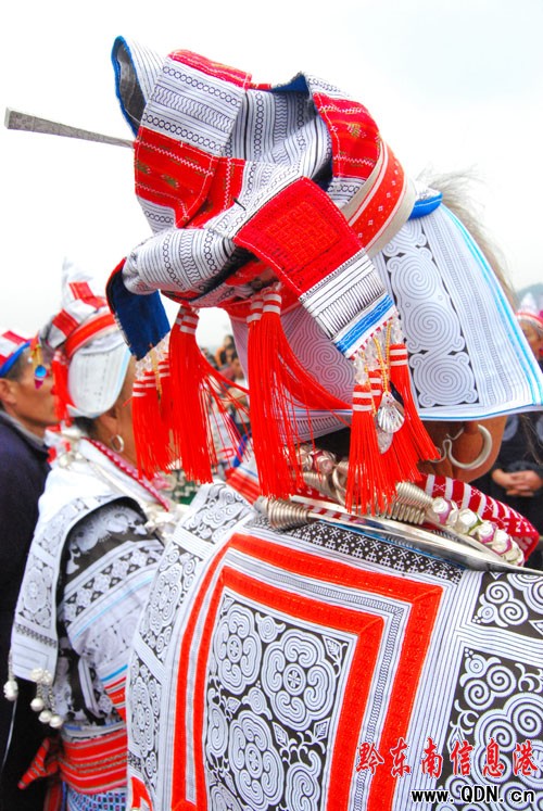 ����կ�����֡���(ji��) ���ص������L�飨�M�D��