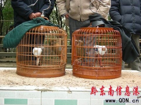 ʡ�ٔ�������ˇ�����B�����Դ�ِ�����_��(�D)