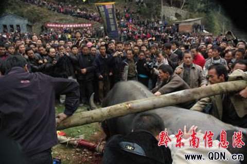 ��ɽ������կӭ��12��һ�ιĲع����M�D��