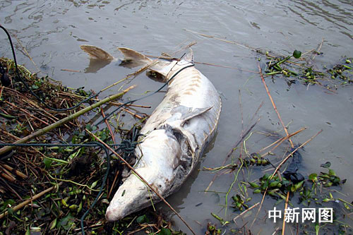 �������ˮ��l�F�ؼs200�����������A�\(�M�D)