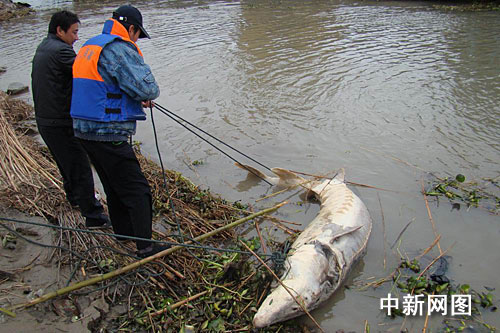 �������ˮ��l�F�ؼs200�����������A�\(�M�D)