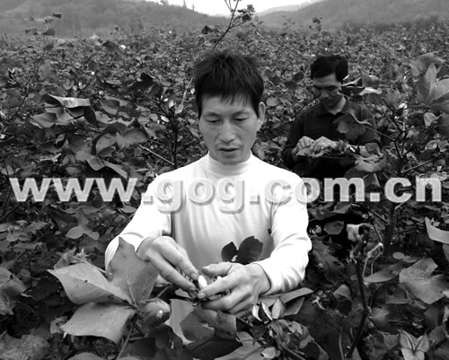 �\�����ʹ�180��ӆ���r�I���r����90���fԪ