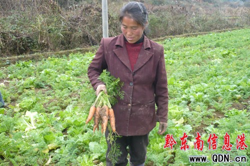 �Sƽ�r�����e������������