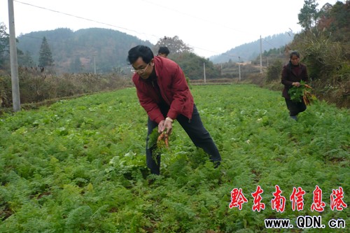 �Sƽ�r�����e������������