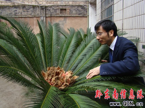 ��hһ�F���_���ֽY��  �����L���_�����ʮ��