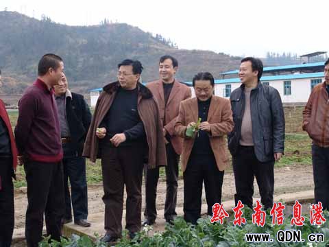 ����µ��Ž��{���r�I�a�I���������D��