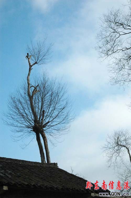 �(zh��n)�h(yu��n)��(b��o)����կ�l(f��)�F(xi��n)