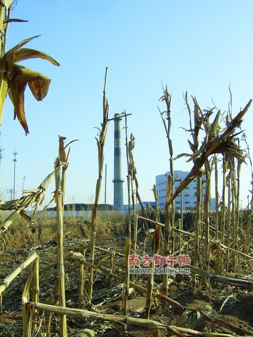 1����6�f�I�M(j��n)130�f�u������ɽ��W(xu��)�����ء��L(f��ng)��